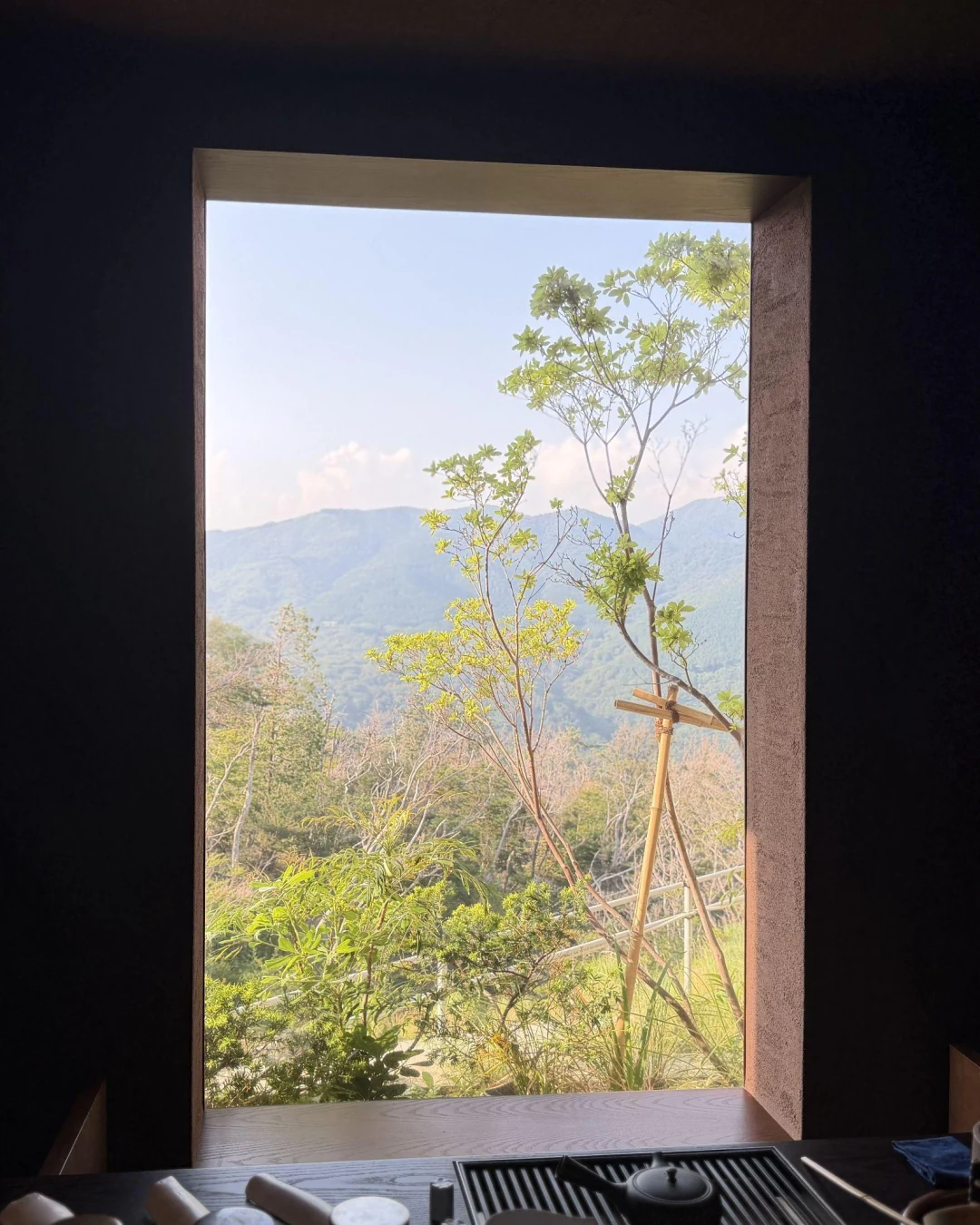 外輪山の景色と茶席