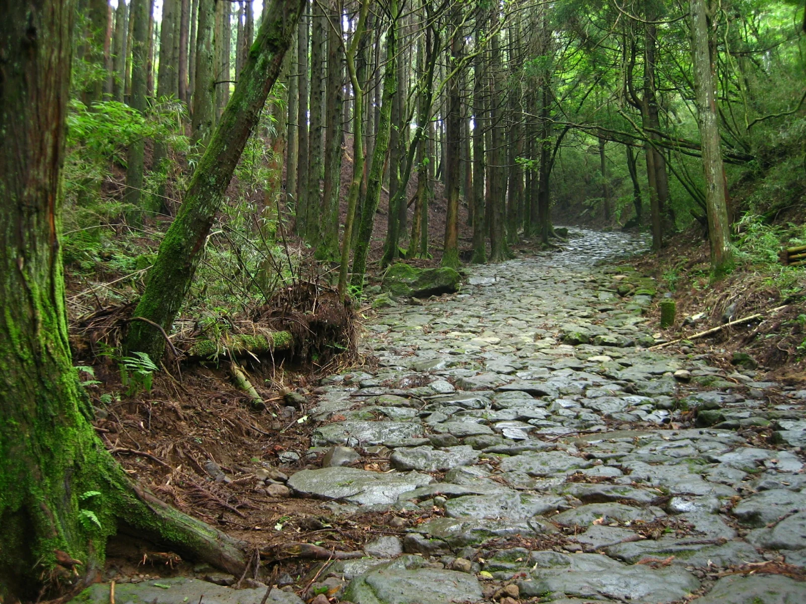 箱根旧街道の石畳