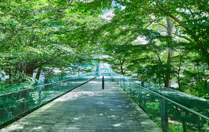 森に佇むポーラ美術館